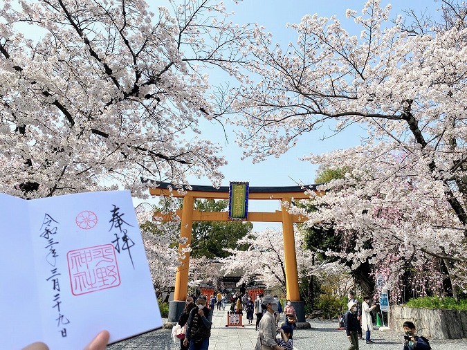 平野神社 京都一の桜の名所 21年版の最新情報を動画付きでご紹介